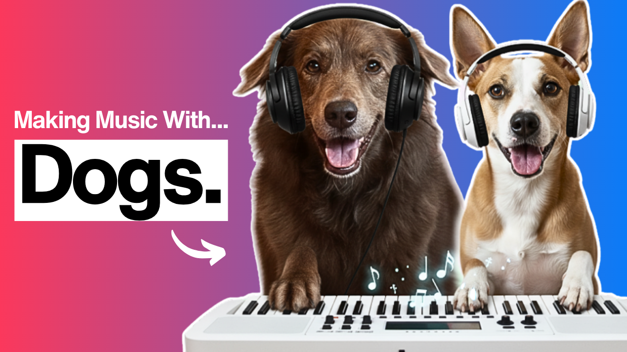 My Dogs by Super Tight Woody